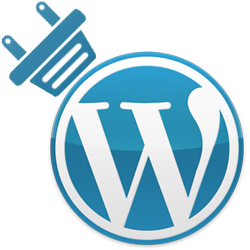 Plugin o archivo functions.php WordPress