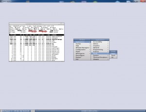 Screenshot escritorio remoto ubuntu fluxbox