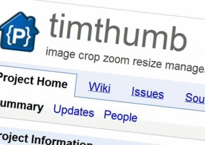 Vulnerabilidad en TimThumb 2.8.13