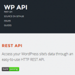 WordPress JSON REST API