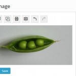 WordPress 4 editor imágenes mejorado