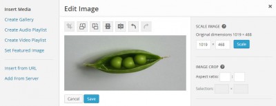 Planeado editor de imágenes mejorado en WordPress 4