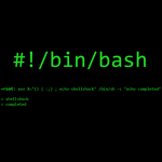 bug bash shellshock