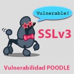 Vulnerabilidad poodle sslv3