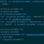 Proteger archivos y carpetas en Linux con chattr