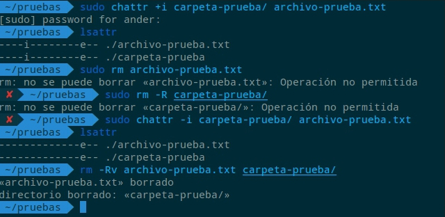 Proteger archivos y carpetas en Linux con chattr