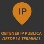 obtener ip publica desde la terminal