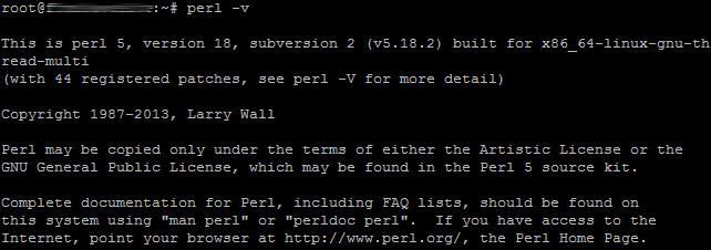 comprobar versión perl terminal