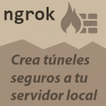 ngrok icono