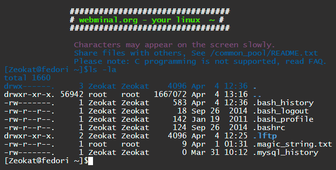 terminal Linux online