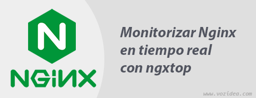 Monitorizar Nginx en tiempo real con ngxtop