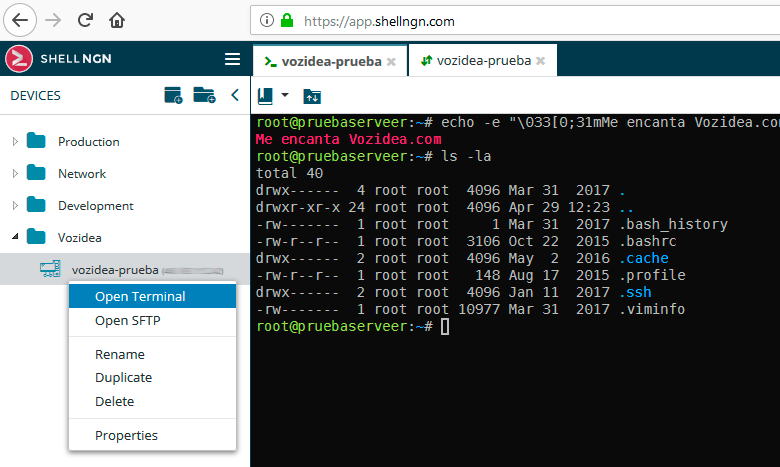 sesion ssh sftp navegador shell ngn