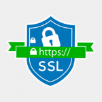 https ssl icono